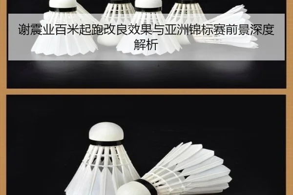 谢震业百米起跑改良效果与亚洲锦标赛前景深度解析